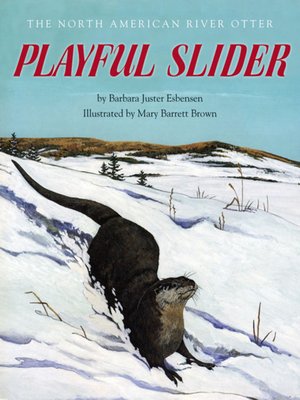 cover image of Playful Slider